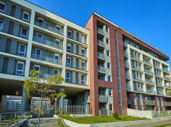 Metrodom Park C