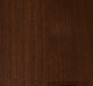 Primo Walnut