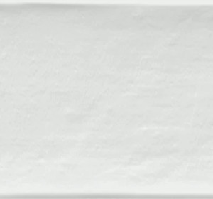 Vives Etnia Blanco 10×20 cm