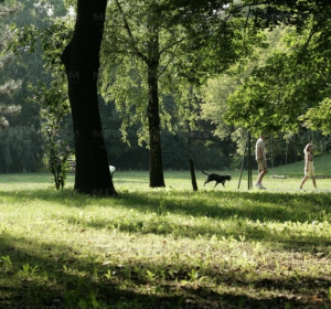 A közeli parkban igazán szép környezetben játszhatnak a gyerekek