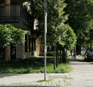 Mindenütt zöld - a Rozsnyay és a Röppentyű utca sarka