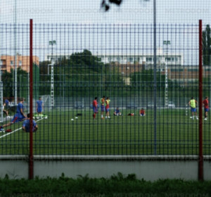 A Vasas-pálya
