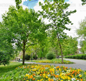 Park a Béke téren