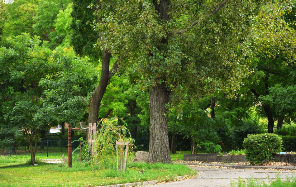 Újpesti Szabadság park, kikapcsolódásra tökéletesen alkalmas