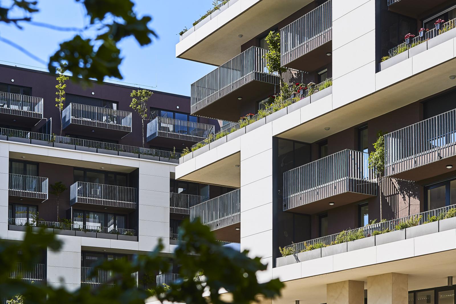 The residential complex in pictures